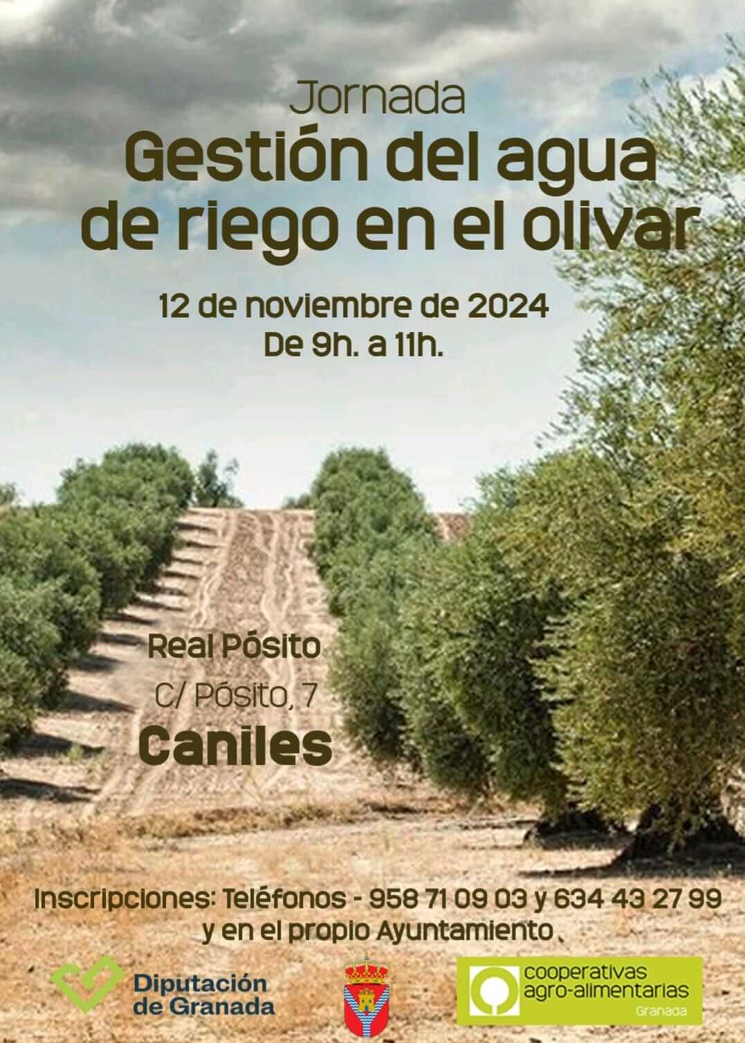 JORNADAS REGADIO